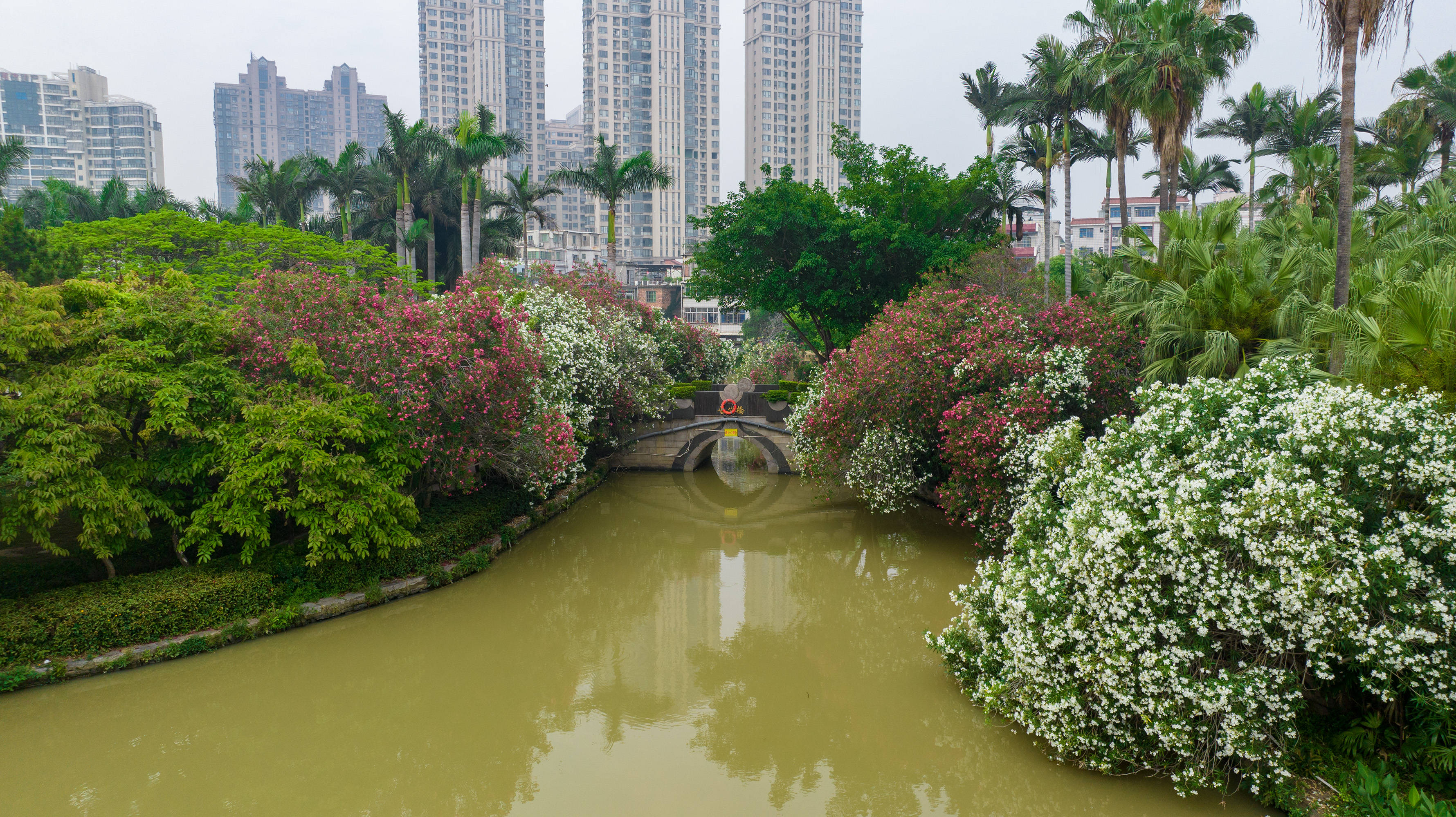 泉州市民最爱的东湖公园,一到五月就花开似海,美翻了!