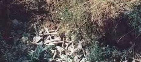 二战最惨烈一次战役,双方伤亡200万,至今还是白骨如山