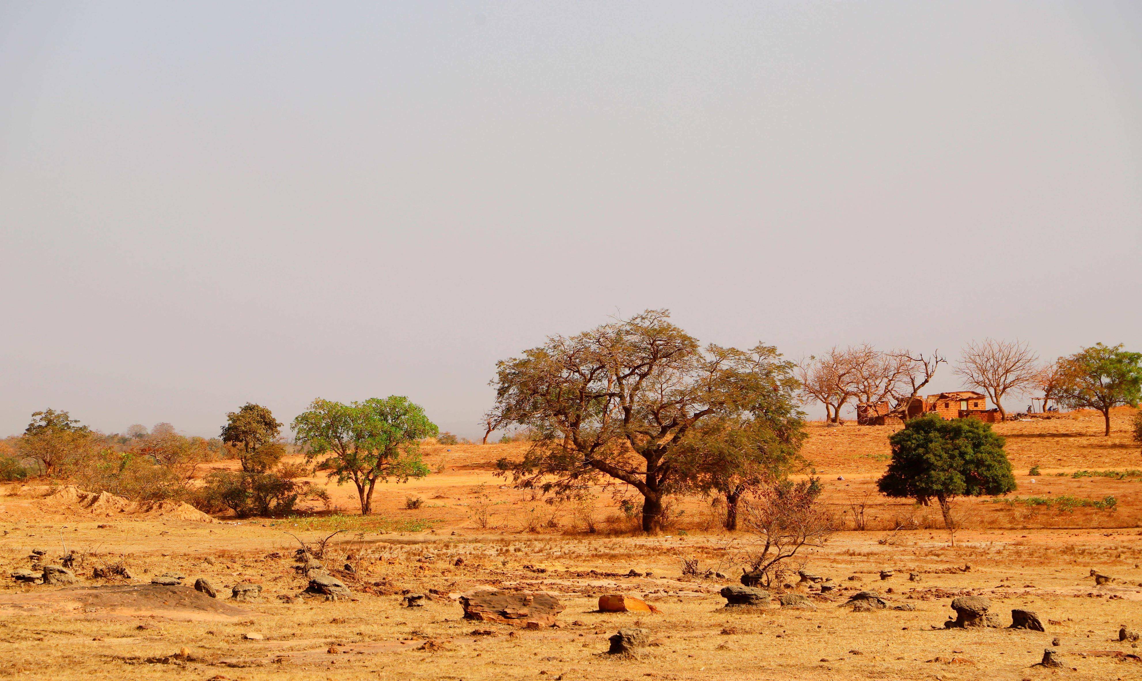 之前出现的那位总统,桑卡拉,他是上沃尔特的第五任总统,也是布基