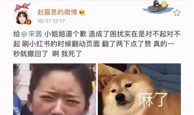 第二部不会再是原班人马了,因为赵露思和丁禹兮并不想在一起捆绑cp
