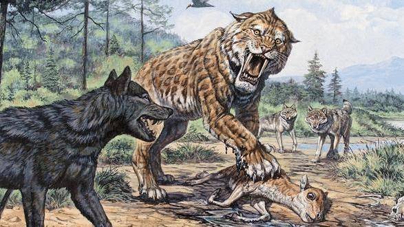 远古时期人类还没有驯服狗,因此面临着犬类猛兽的威胁,其中主要是恐狼