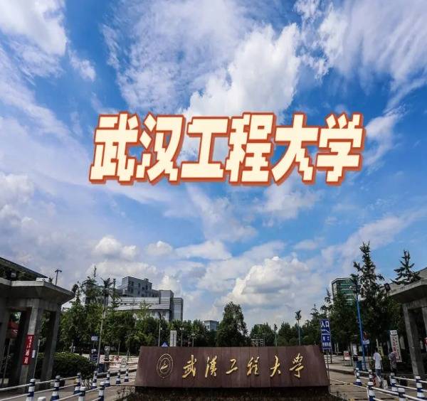 武汉工程大学是一本吗图片