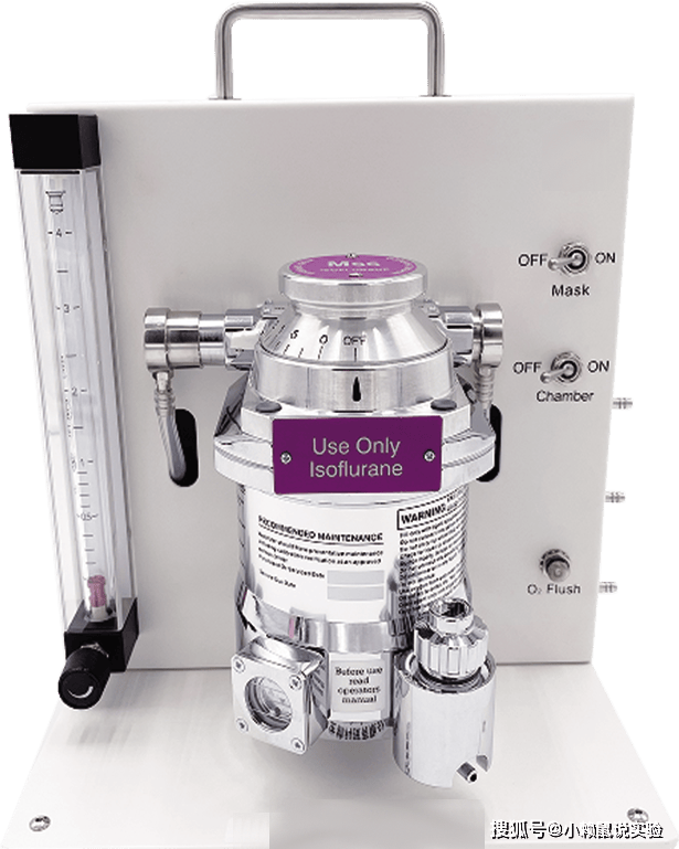 小动物麻醉机(大小鼠)kt-106