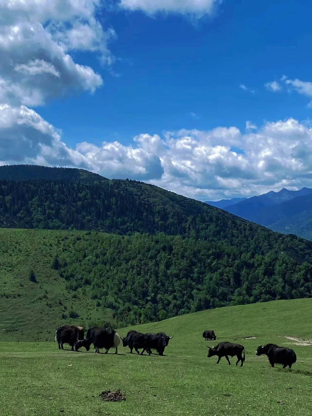 天成都周边人少又可以免费露营徒步的小众景点路线_甲根坝_门票_导航