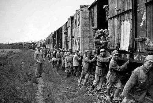 最多大战役,全歼133个师:92万俘虏缴械投降,漫山遍野_蒋军_兵团_部队