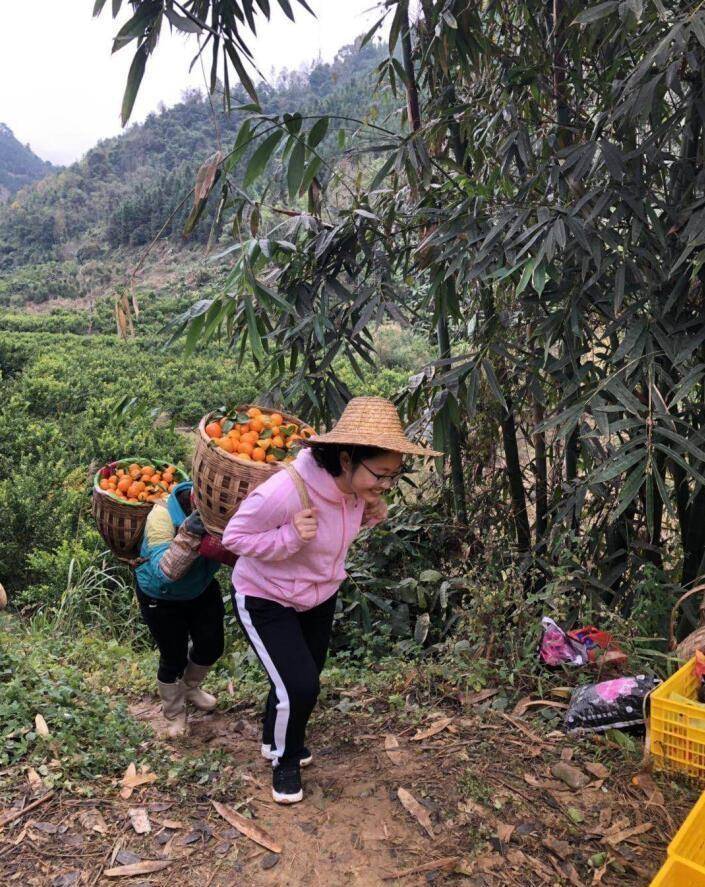 硕士,放弃高薪,扎根大山扶贫,村民富了她牺牲了_黄文秀_父亲_田阳县