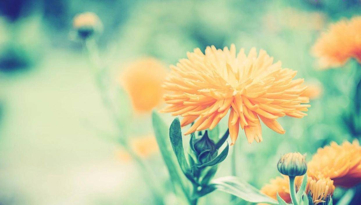 (看完顿悟)_生活_因为_红豆