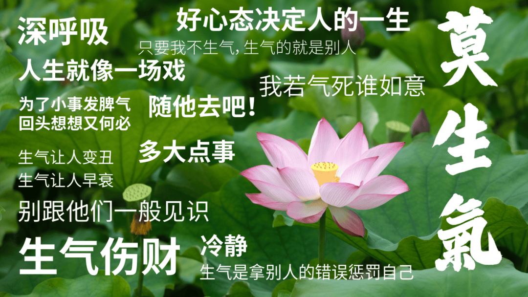 不生气电脑壁纸高清-千图网