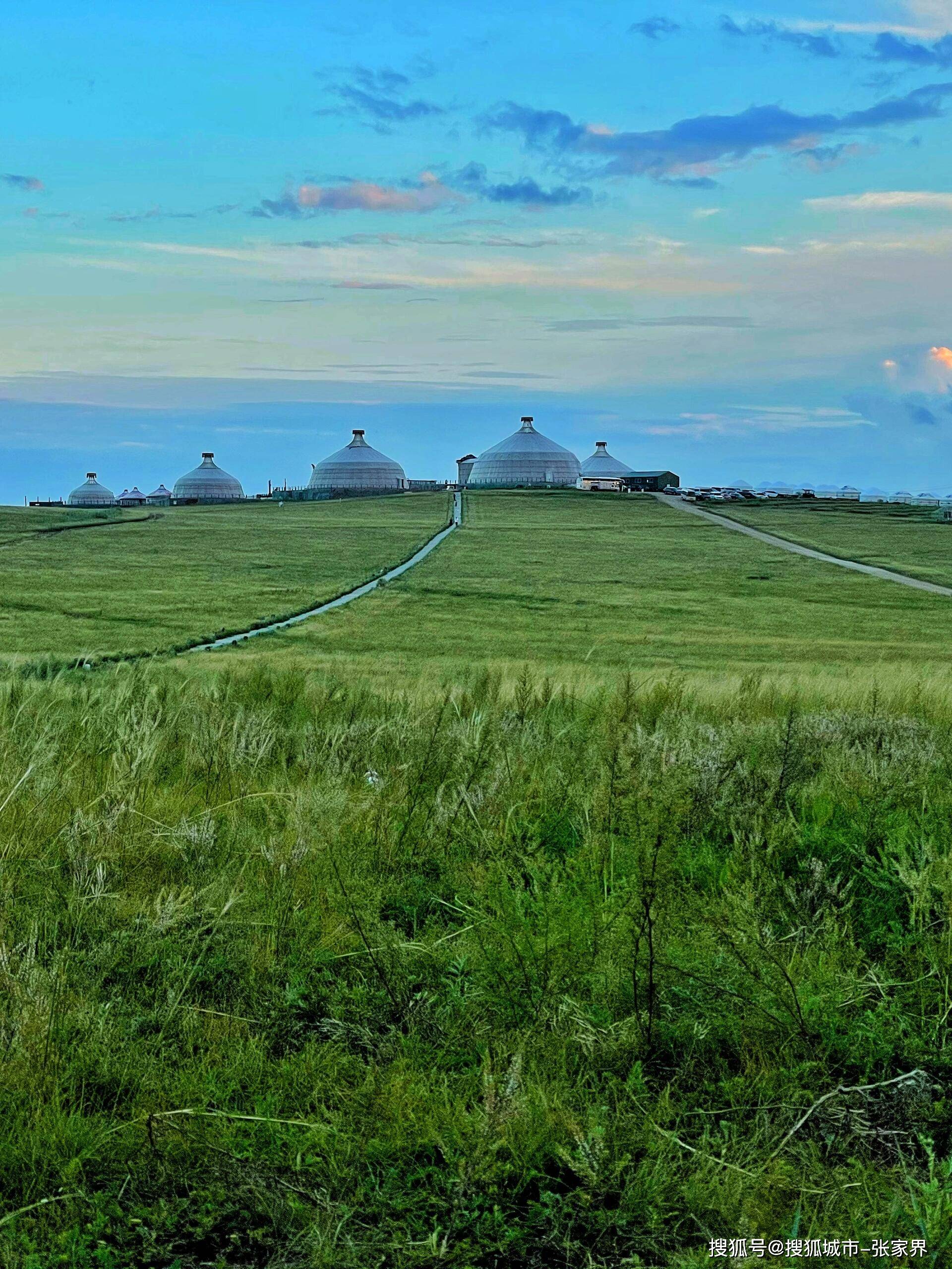 避坑攻略_草原_前往_活动
