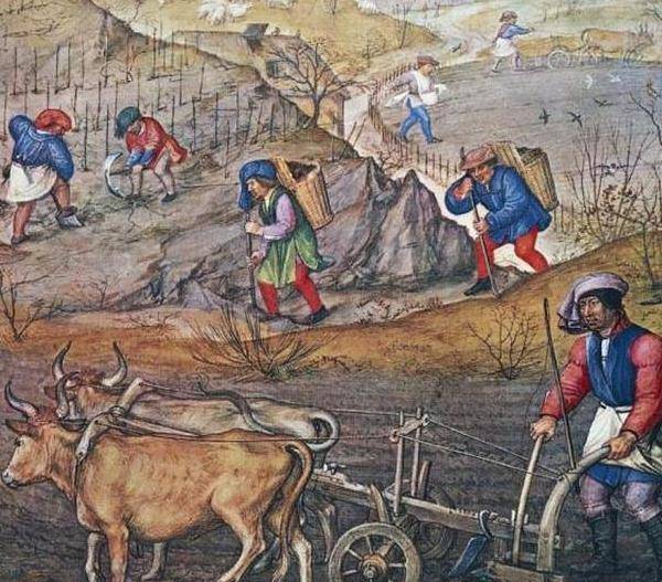 英国中世纪为何会开展垦殖运动?