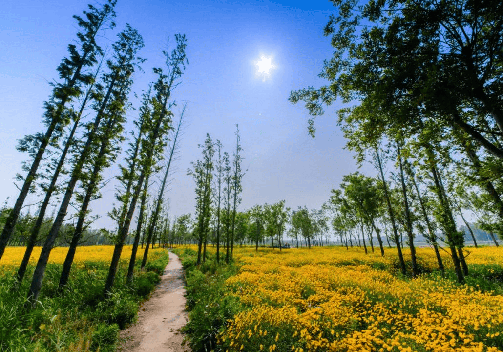 济西农业公司举办"爱心农场"主题关爱特殊儿童公益活动