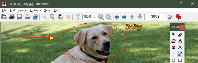 电脑怎样压缩照片?介绍六个实用性很高的压缩方法