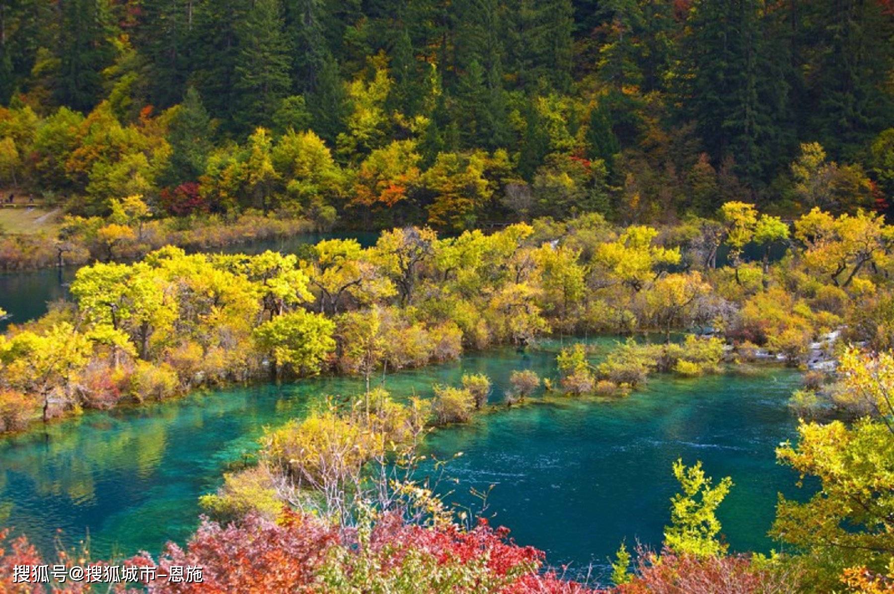 九寨沟_导游_一家