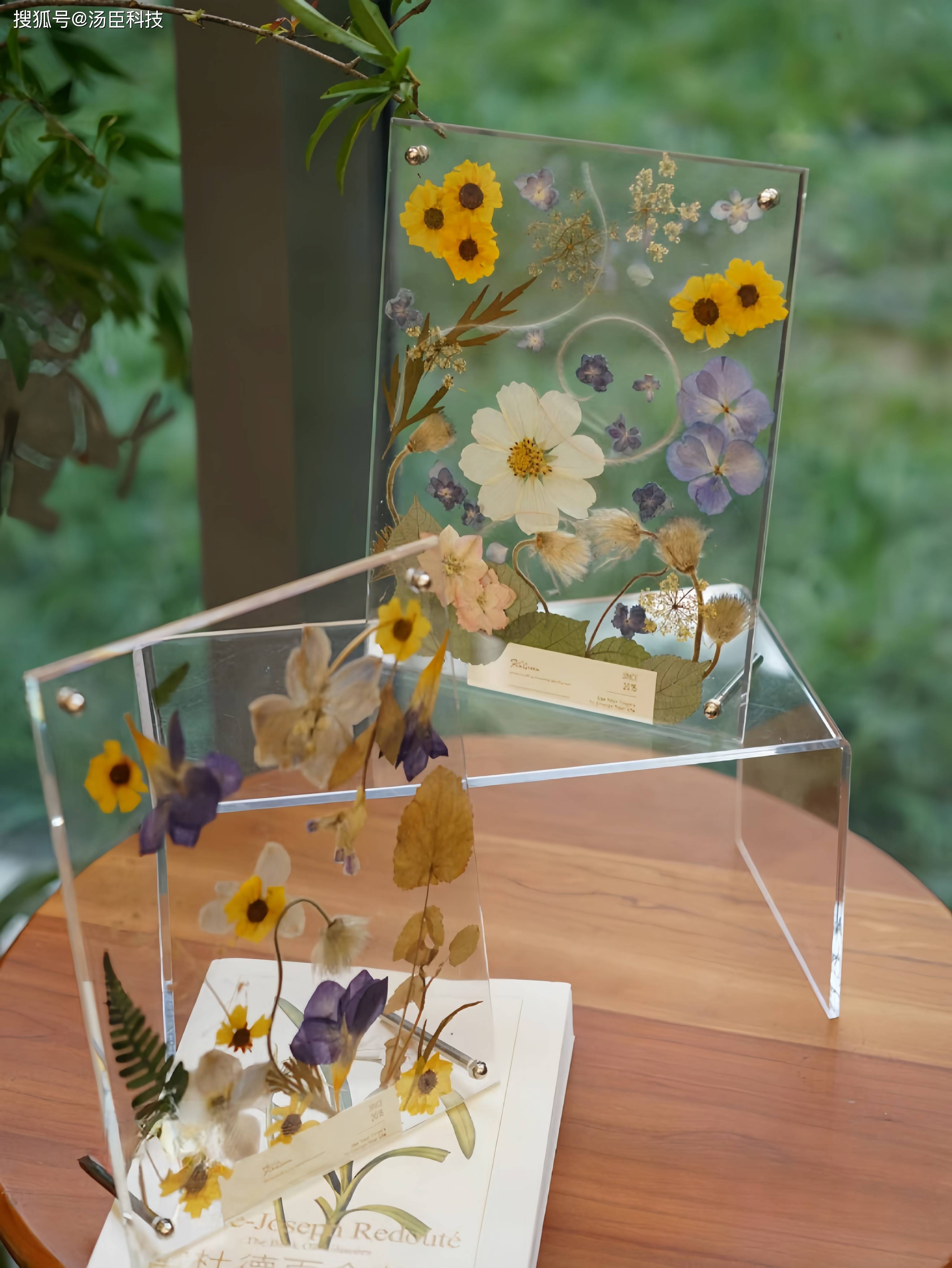 埋下种子,收获新机——亚克力包埋技术的应用