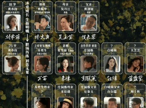 《玫瑰的故》事人物关系介绍,黄亦玫感情经历是怎样的?