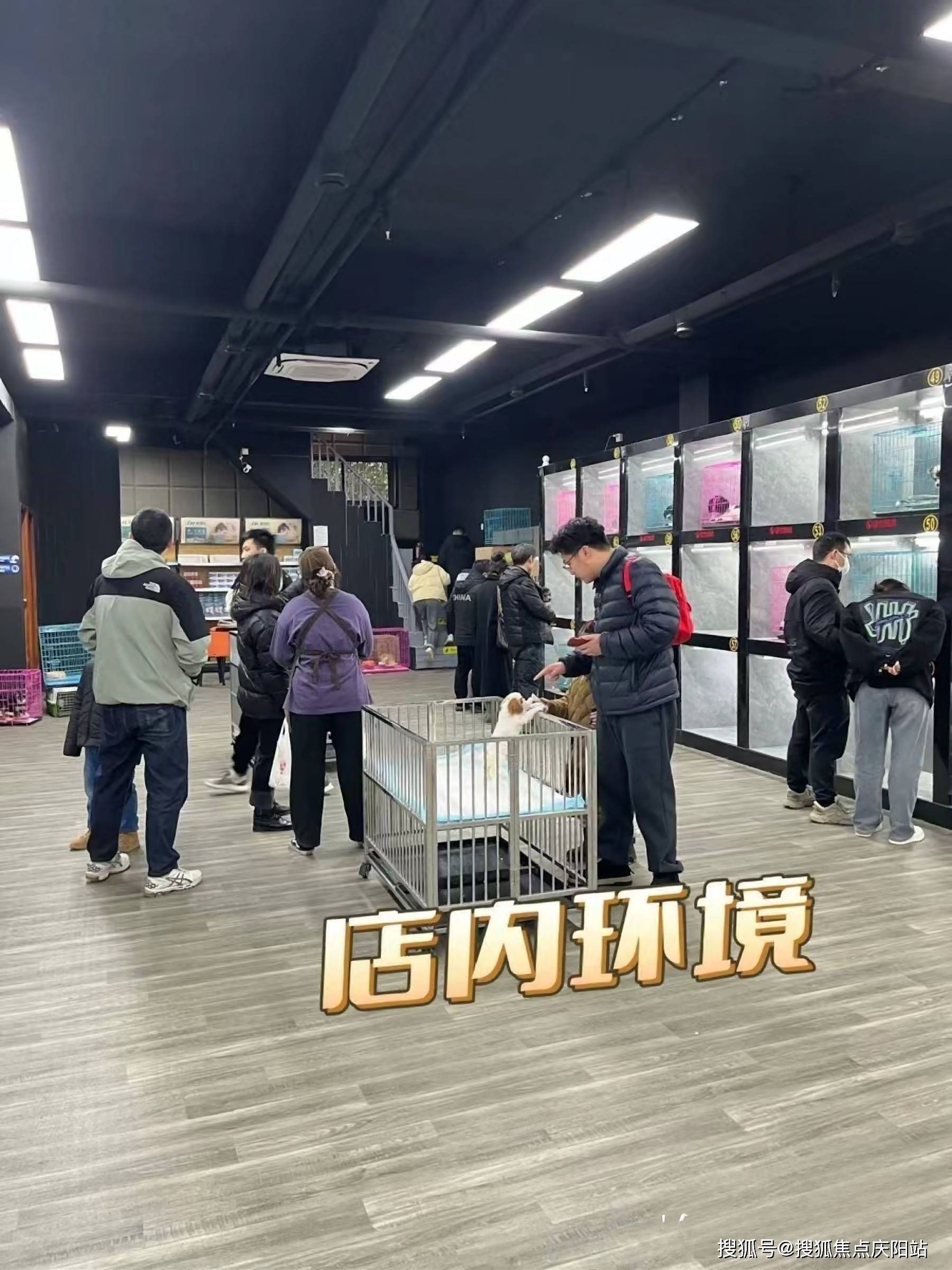 南昌福安家宠物店(红谷滩店)位于:南昌红谷滩区岭口路199号旁(看宠