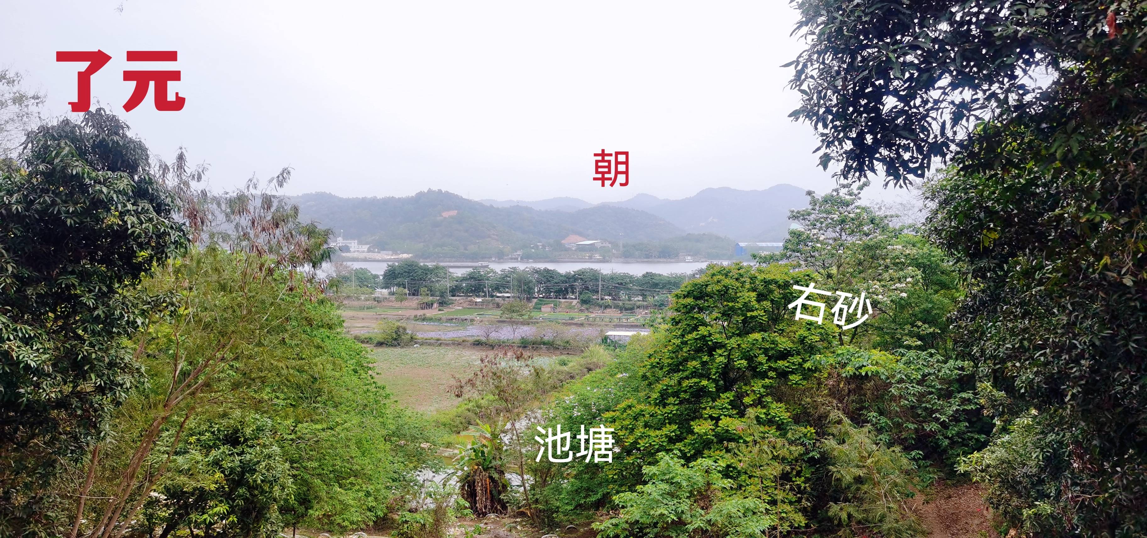 名人风水,华人前首富,香港"李超人"祖坟