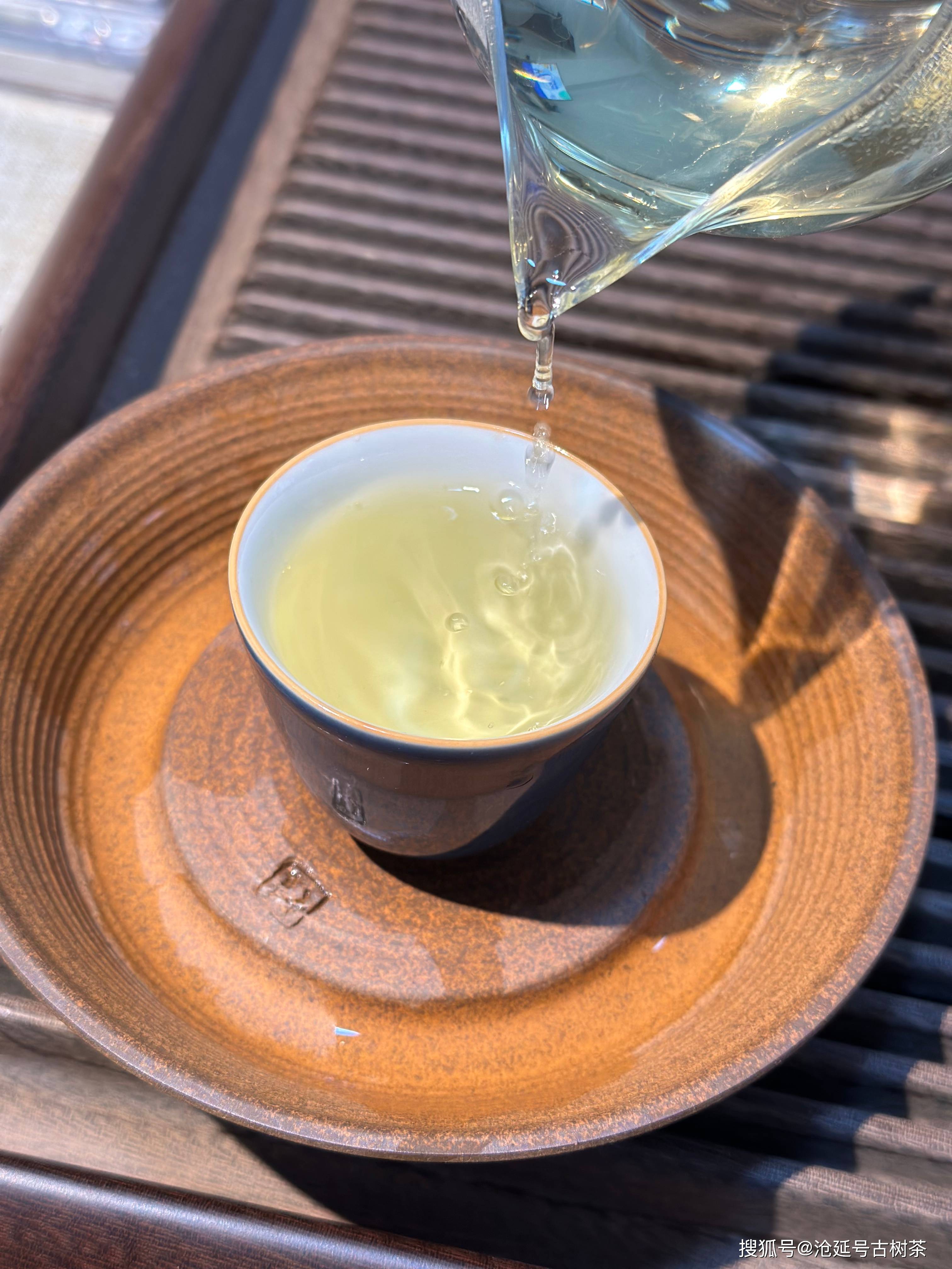 沧延号2024临沧梅子箐单株纯料生茶