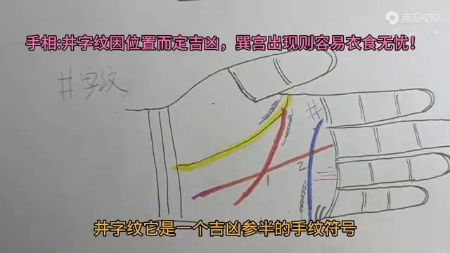 井字纹手相图解大全图片