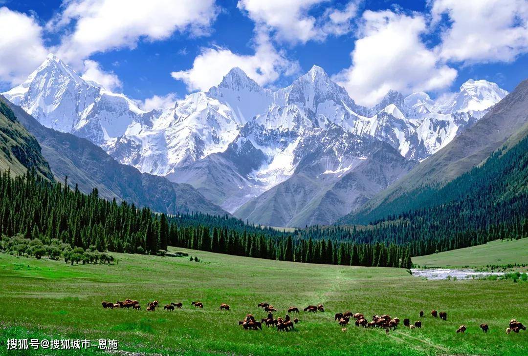 新疆旅游可可托海15天行程景点,新疆环线15日游自由行攻略,纯干货分享
