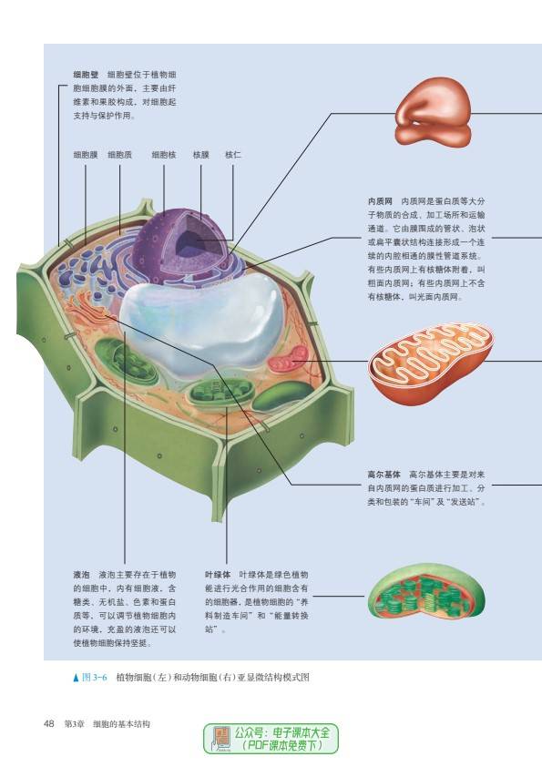 预习高一生物必修1分子与细胞高中必修一电子课本pdf高清版教科书教材