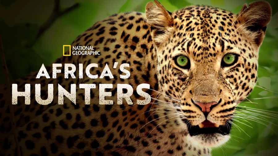   《非洲猎人》1-3季纪录片解说素材1080P，18集。