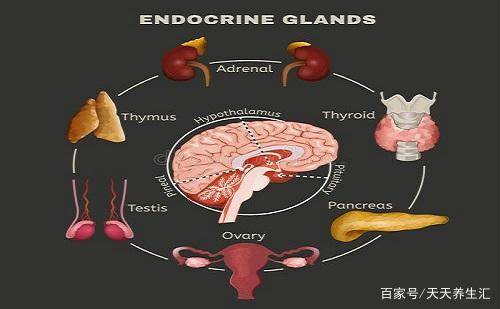 人体有一个控制激素的系统