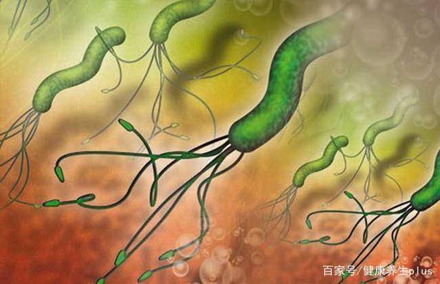 每两个人就有一个携带者!这种常见的细菌,会导致多种胃部疾病