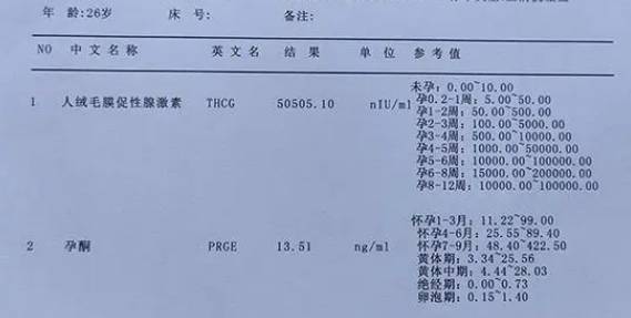 验孕化验单图片