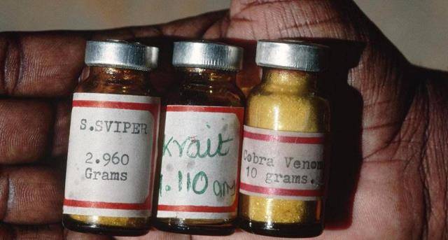 连美国也不敢?子弹上面可以涂毒药吗?后果比你想的更严重