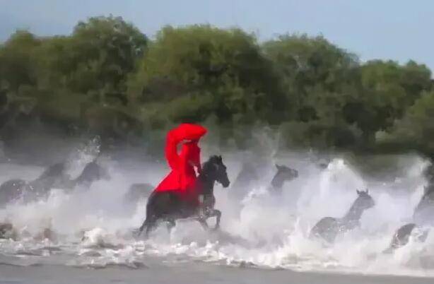 现场!新疆"网红"副局长贺娇龙拍视频发生意外:人落马摔进河里