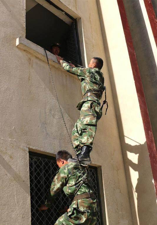 锤炼过硬技能:特战队员20米高楼飞檐走壁_训练_特警_难度