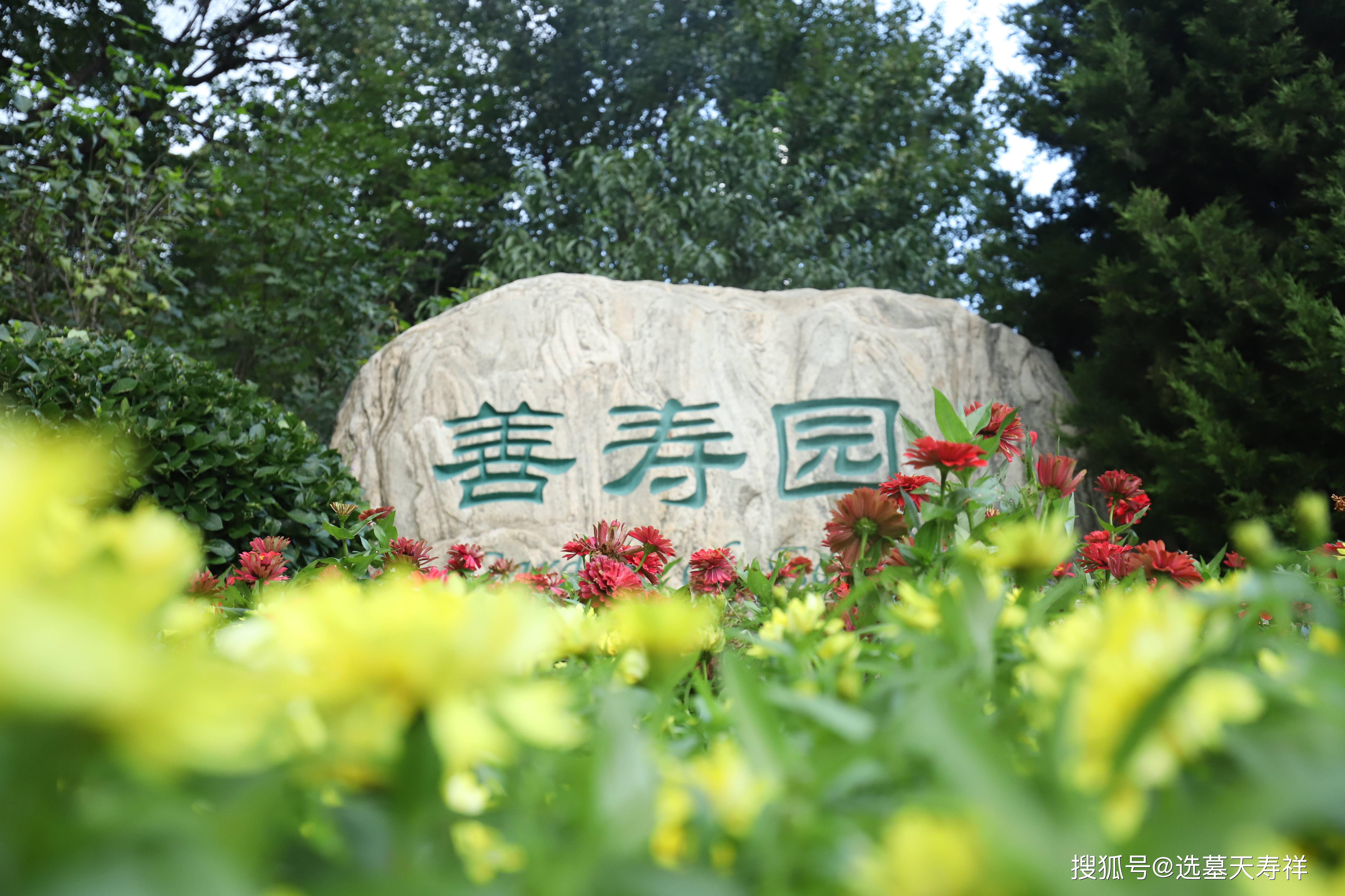 九公山长城纪念林园区介绍——善寿园_墓区_艺术_景观