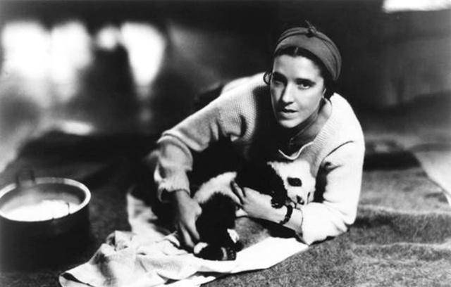 历史上第一个把大熊猫偷渡出境的美国女人,她结果如何_露丝·哈克尼斯