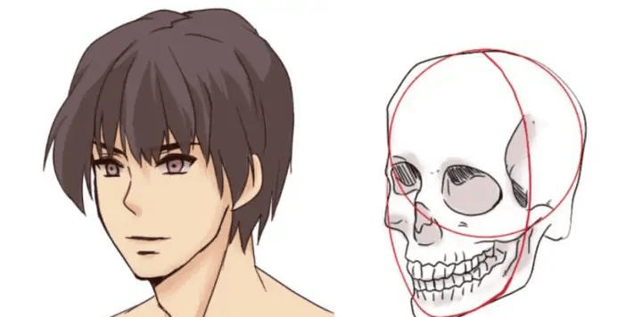 【水彩之翼教育】了解这些教你画出好看的侧面头像!_下巴_眼睛_部分