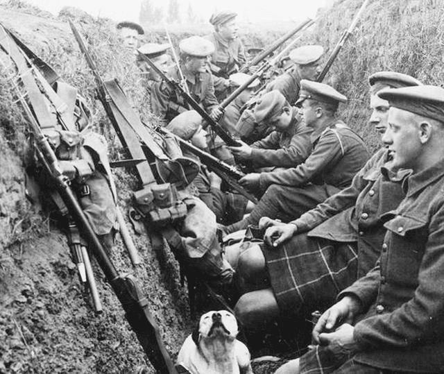 守方挖掘出四通八达的堑壕,辅之以重炮,速射炮,迫击炮,机枪,地雷,陷阱