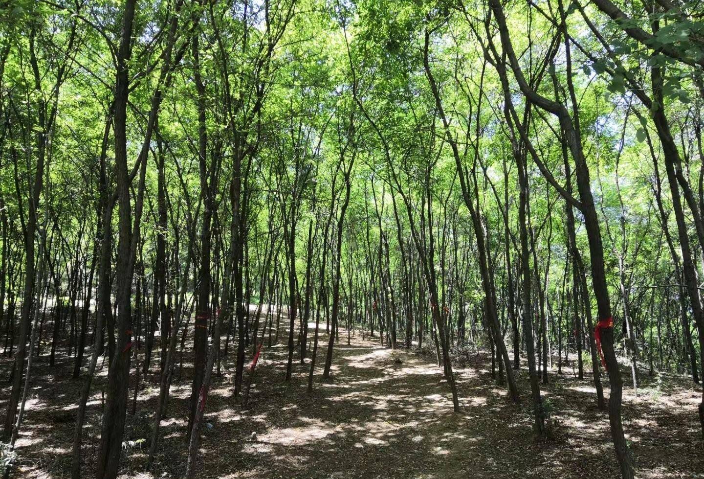 这个事情还要从户县神仙路的传说说起