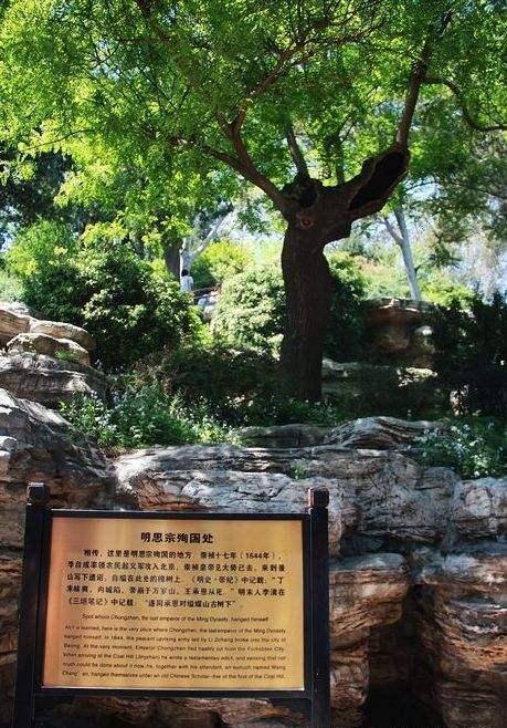 一颗歪脖子树因为吊死了一个皇帝而被拴了起来_崇祯_王承恩_李自成
