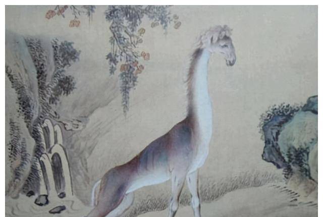 的确挺相似,尤其是那一对鹿角,所以可能长颈鹿是麒麟的原型吧