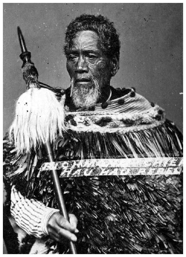 新西兰毛利人的教育政策,为政府与教育机构带来了怎样的启示?