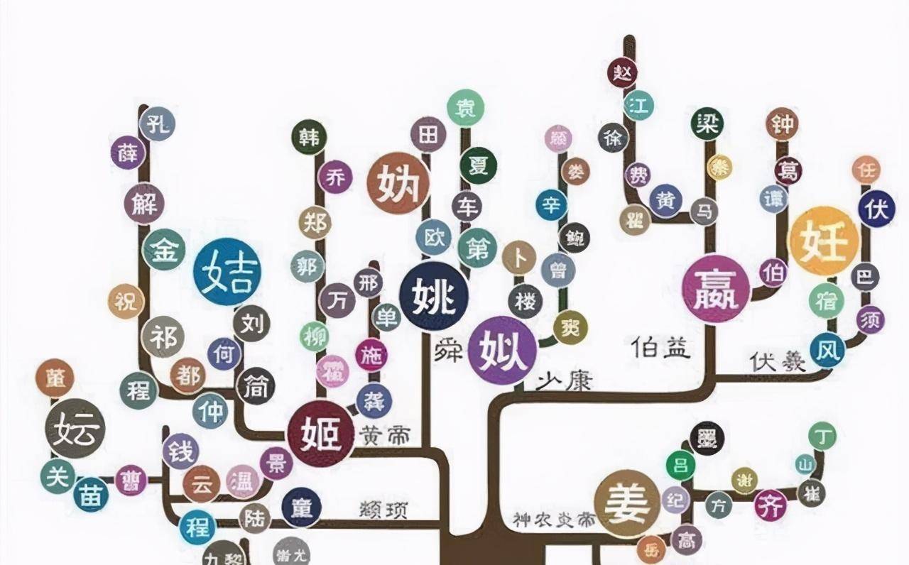 百家姓树高清图片大全图片