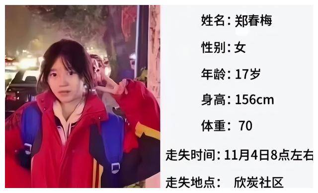 吉林市走失女孩图片