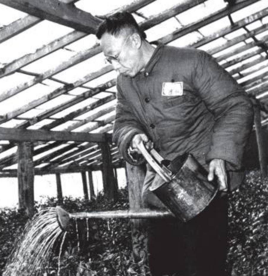 这是溥仪在战犯所里洗衣服时候的老照片,彼时的溥仪不再是高高在上的