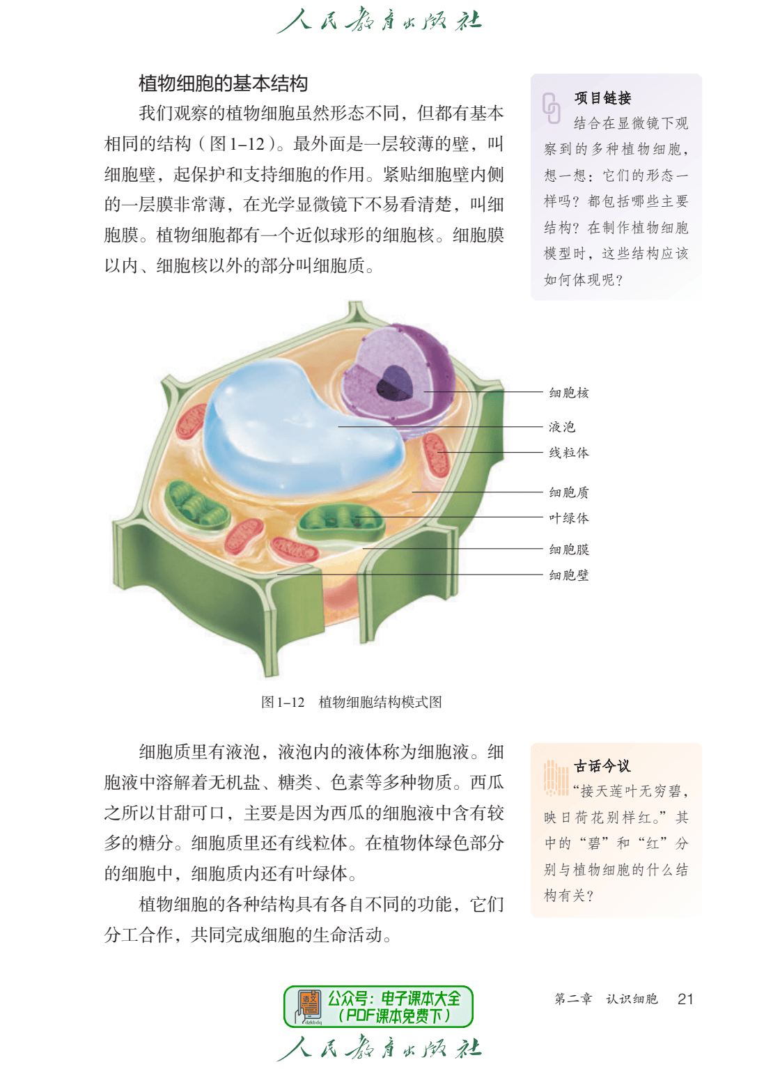 2024最新版初一生物学七年级上册电子课本pdf高清版教科书教材初中7上