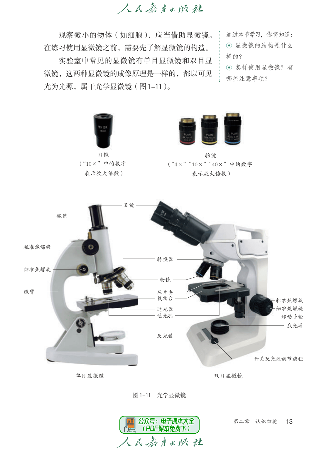 生物各大实验七上(七年级上册生物所有实验报告)  第2张