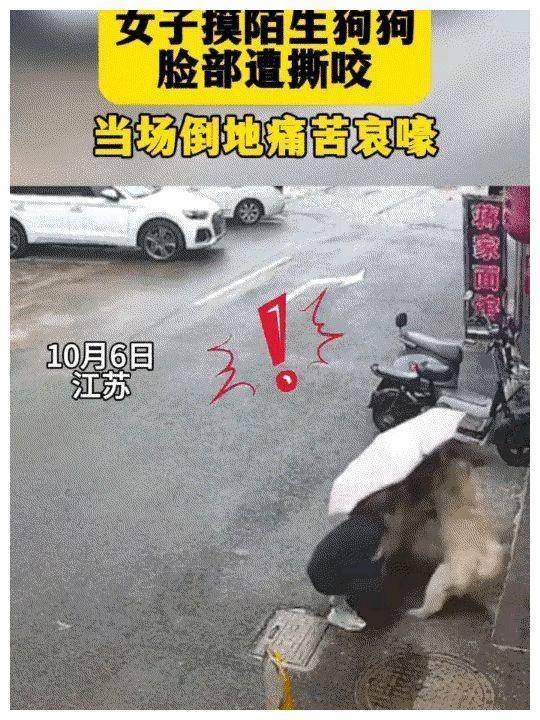 由于伤势严重,该女子当场惊恐万分,尿失禁的尴尬场景让人痛心.