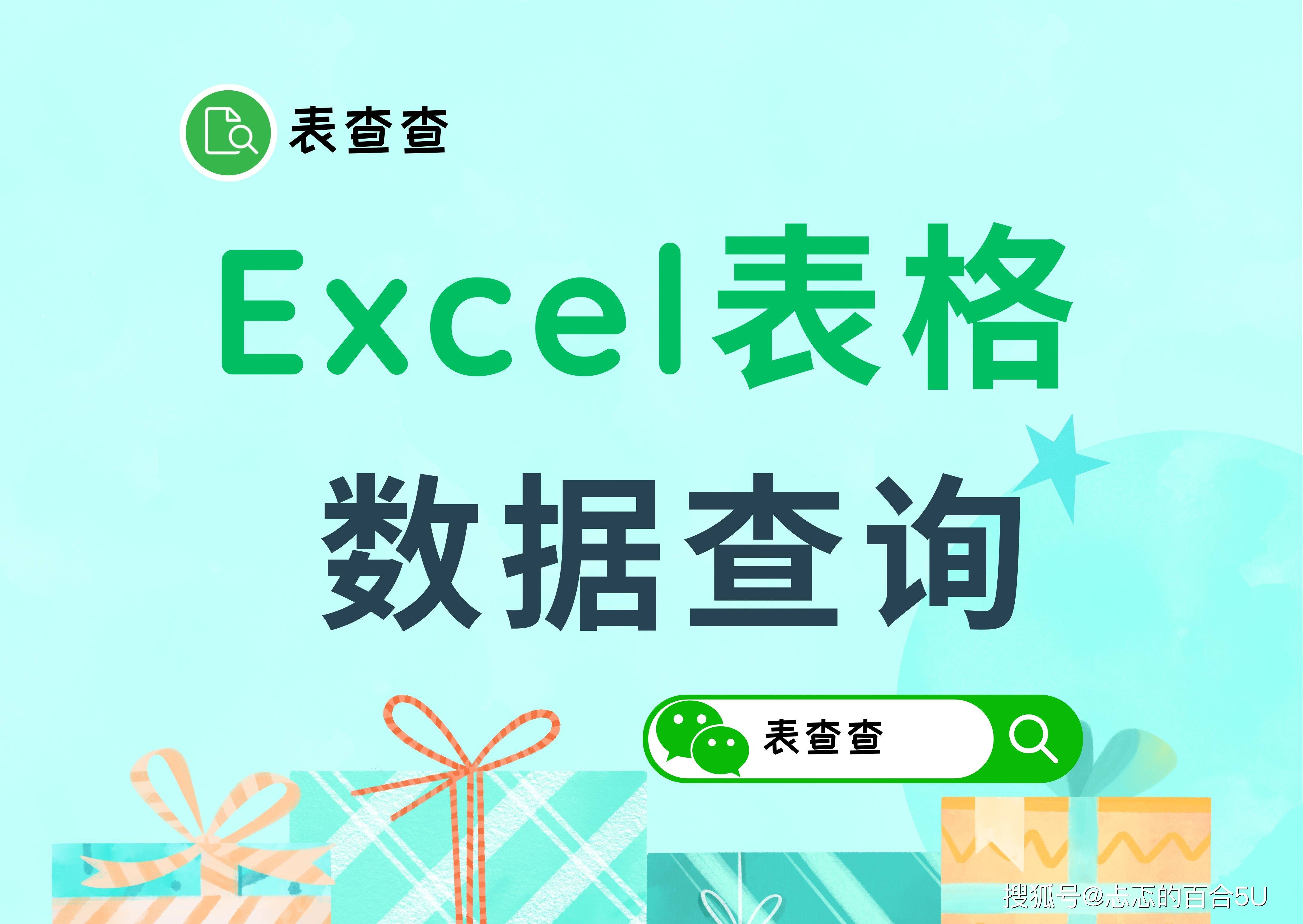excel制作查询系统app