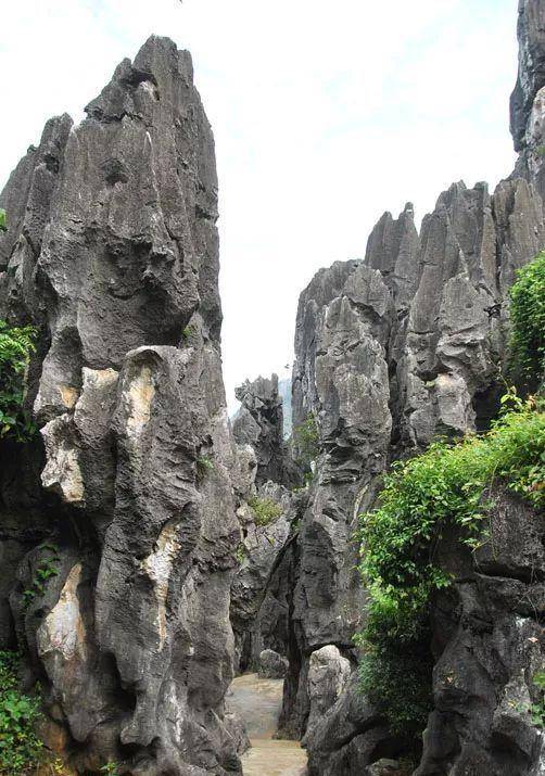 阳春石林景区门票价格图片