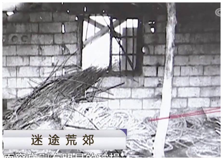 裸死在荒宅的女尸,生前被侵犯过,2018年男子说价格谈不妥杀人的