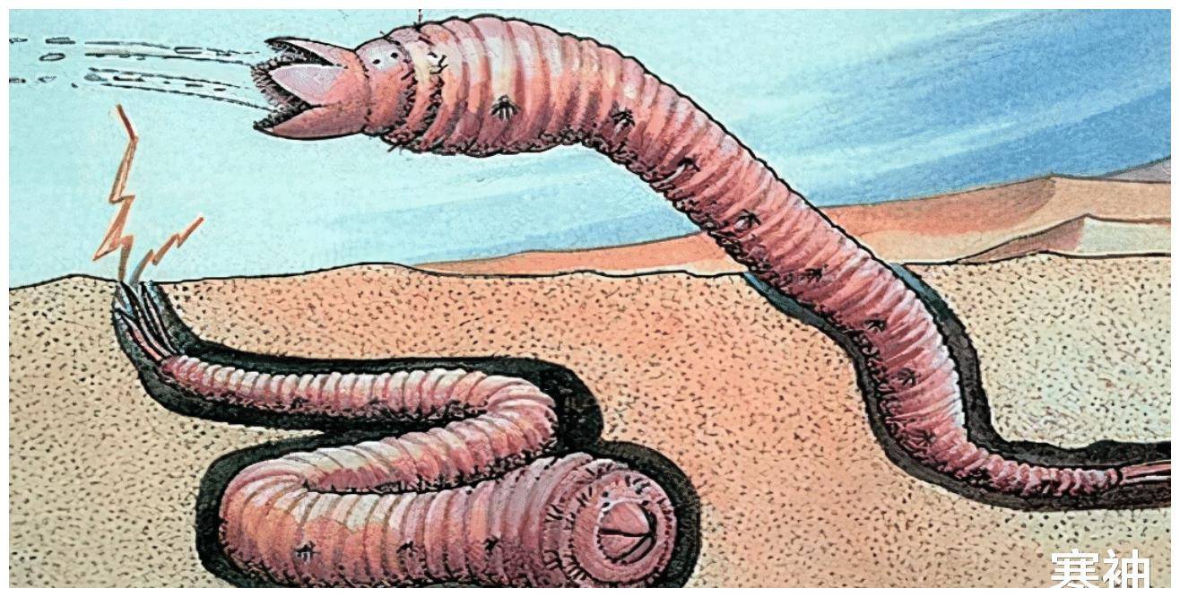 传说中的蒙古死亡蠕虫,找到它就能找到成吉思汗的宝藏